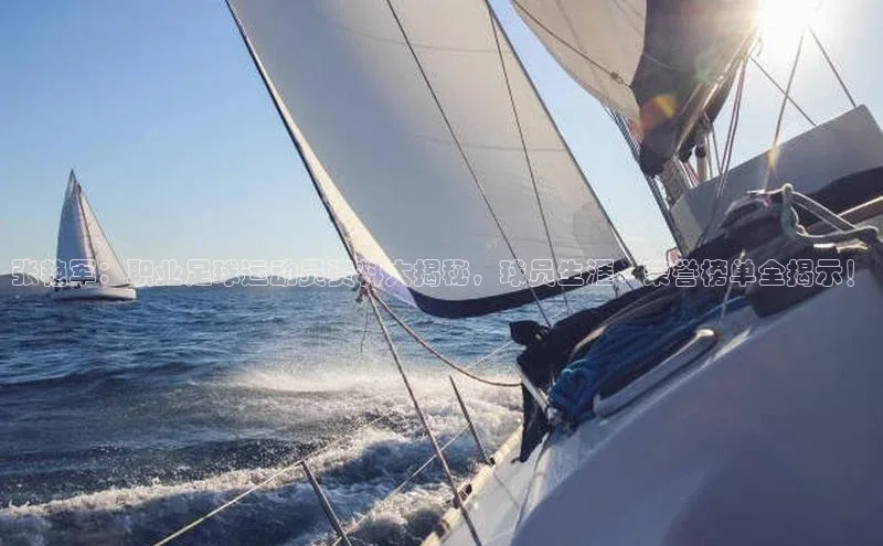 欧陆娱乐官网中文在线张艳军：职业足球运动员资料大揭秘，球员生涯、荣誉榜单全揭示！