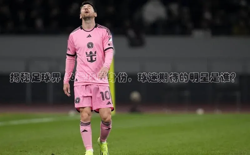 欧陆平台测速地址百度技术学院揭秘足球界 66号球员身份，球迷期待的明星是谁？