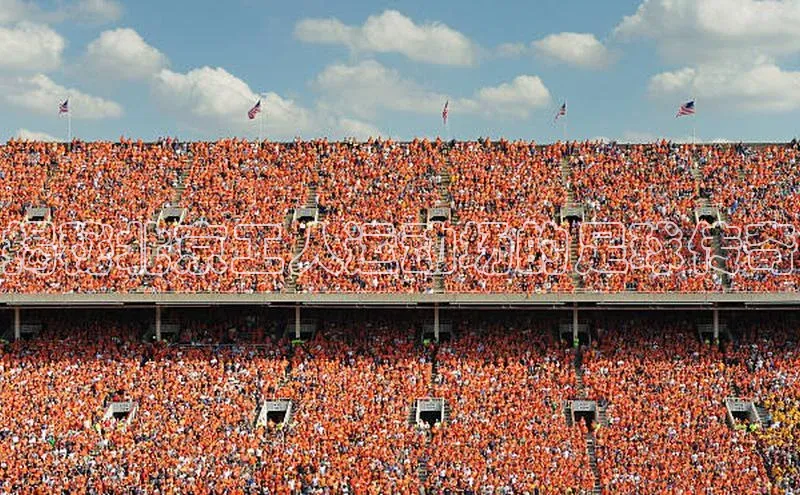 欧陆app登录猫眼揭秘北京工人运动场的足球传奇