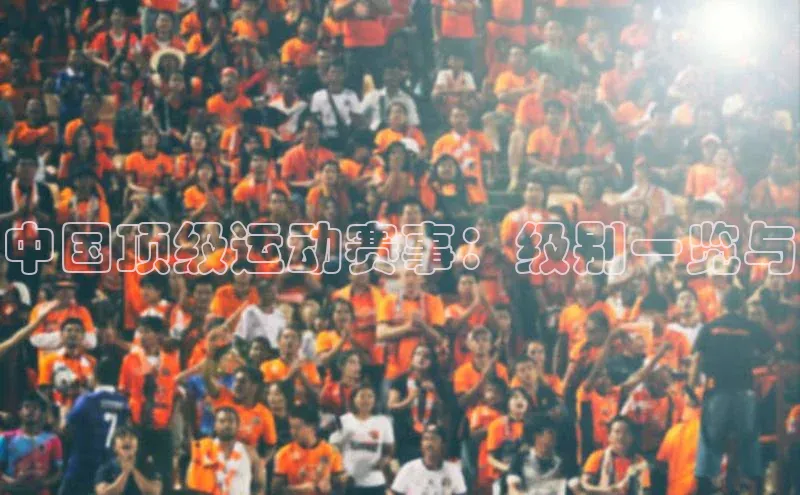 欧陆娱乐怎么注册账号文心一言中国顶级运动赛事：级别一览与