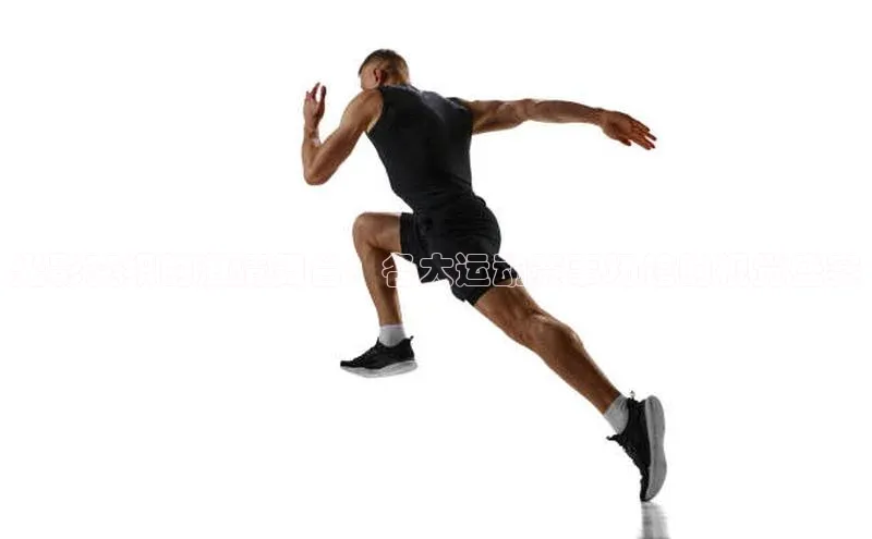 欧陆平台测速地址观星盘光影交织的激情舞台：各大运动赛事场馆的视觉盛宴