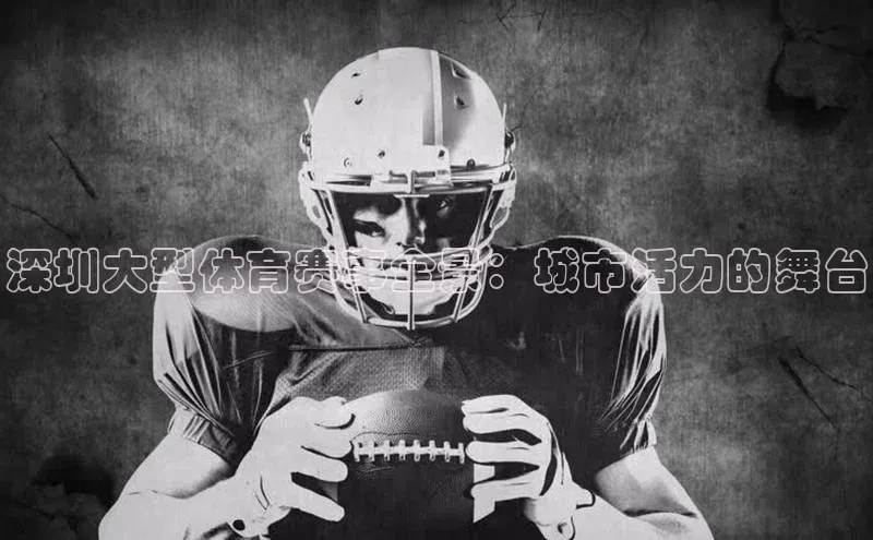 深圳大型体育赛事全景：城市活力的舞台