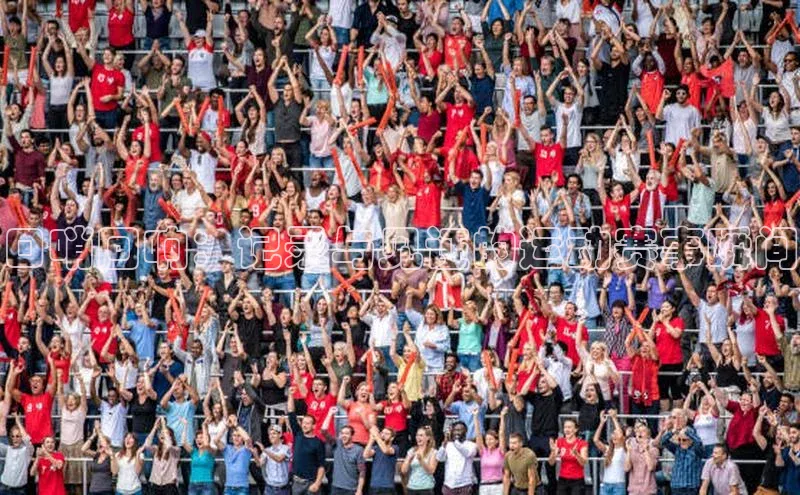 口哨回响：记录与见证的运动赛事瞬间