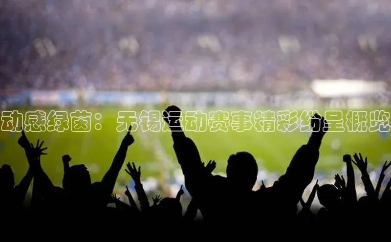 动感绿茵：无锡运动赛事精彩纷呈概览