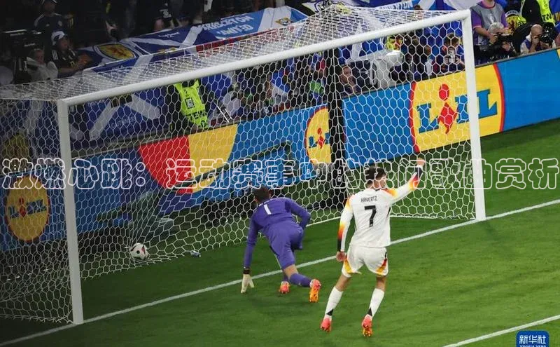 激燃心跳：运动赛事中的热门歌曲赏析