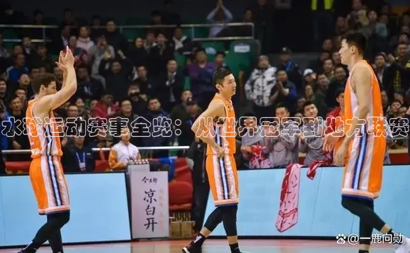 水球运动赛事全览：从世界冠军到地方联赛