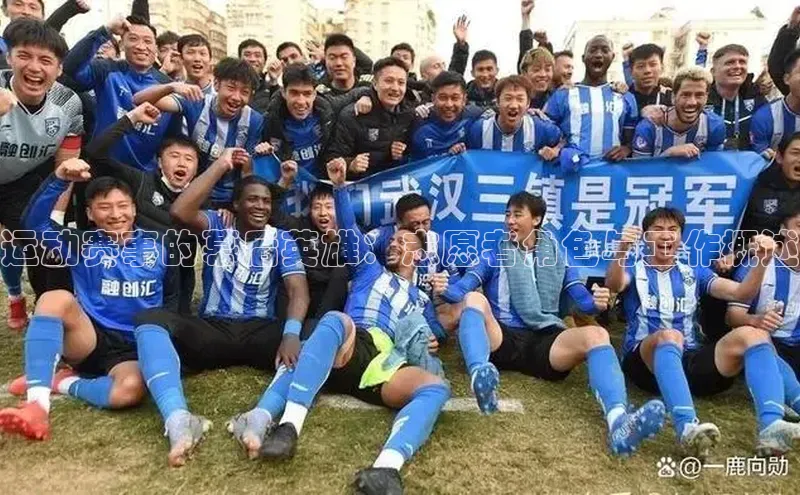 运动赛事的幕后英雄：志愿者角色与工作概述