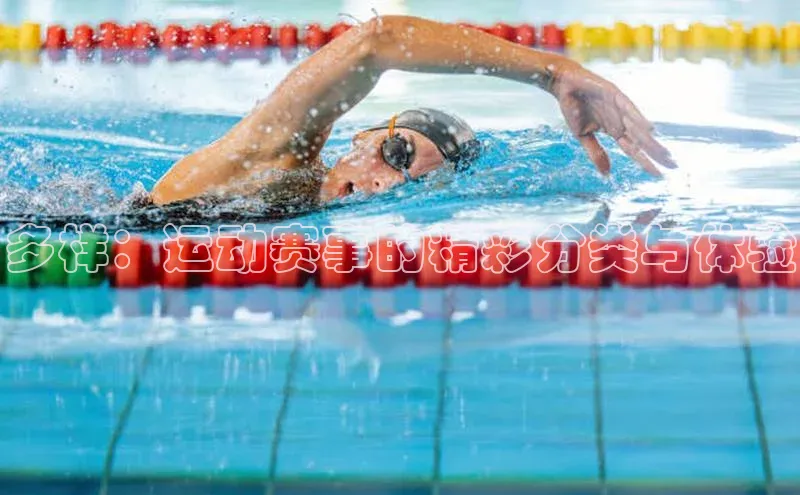 多样：运动赛事的精彩分类与体验