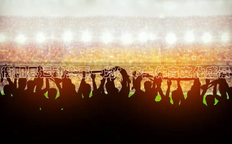 衡阳县运动赛事一览：本土体育文化盛景