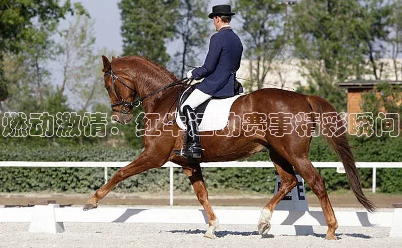 燃动激情：红牛运动赛事精彩瞬间