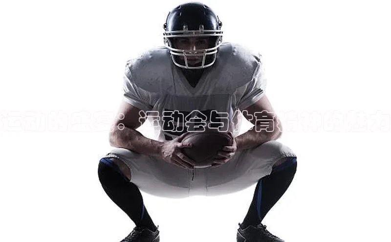 运动的盛宴：运动会与体育精神的魅力