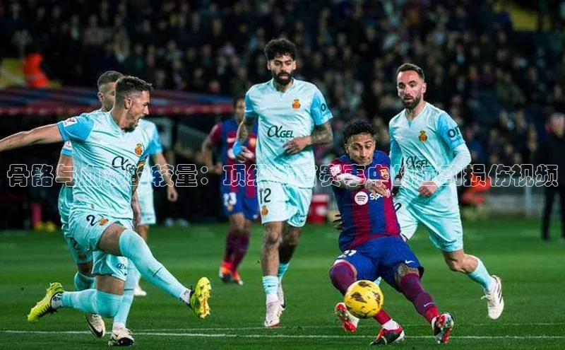 骨骼与血液的较量：顶级体育赛事中的运动损伤视频