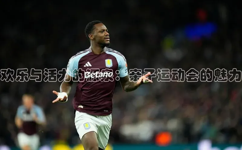 欢乐与活力的源泉：亲子运动会的魅力