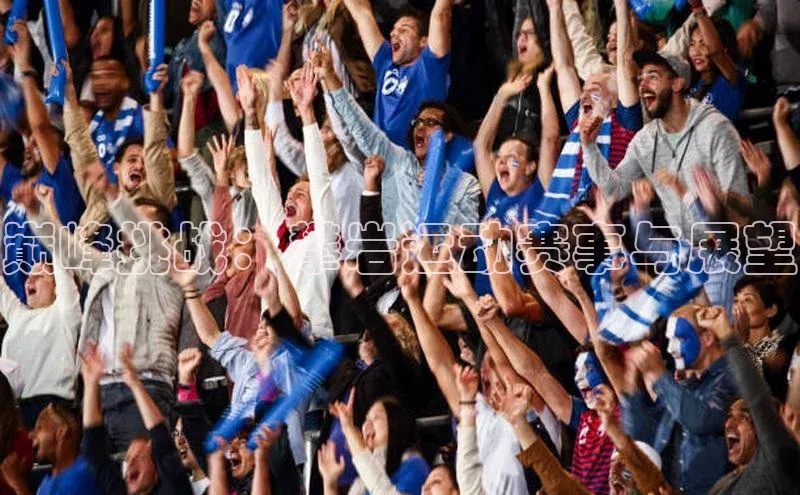 巅峰挑战：攀岩运动赛事与展望