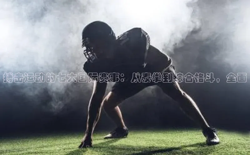 搏击运动的七大国际赛事：从泰拳到综合格斗，全面