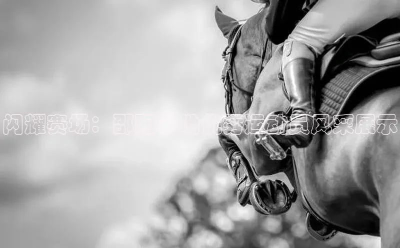 欧陆娱乐app下载