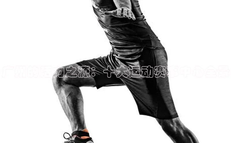 欧陆注册手机版